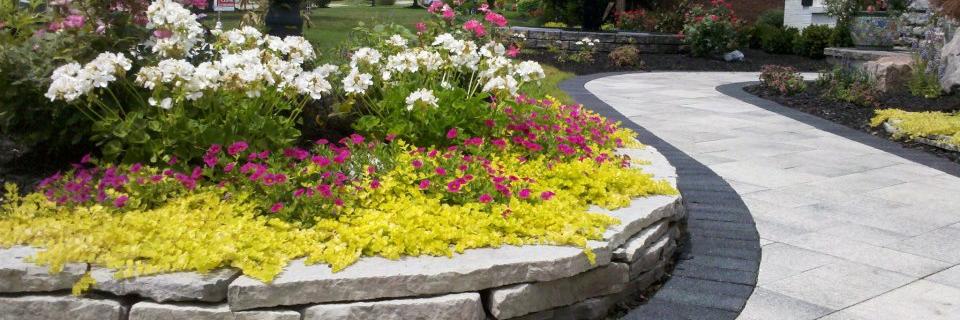 WarrenLandscape's profile banner image