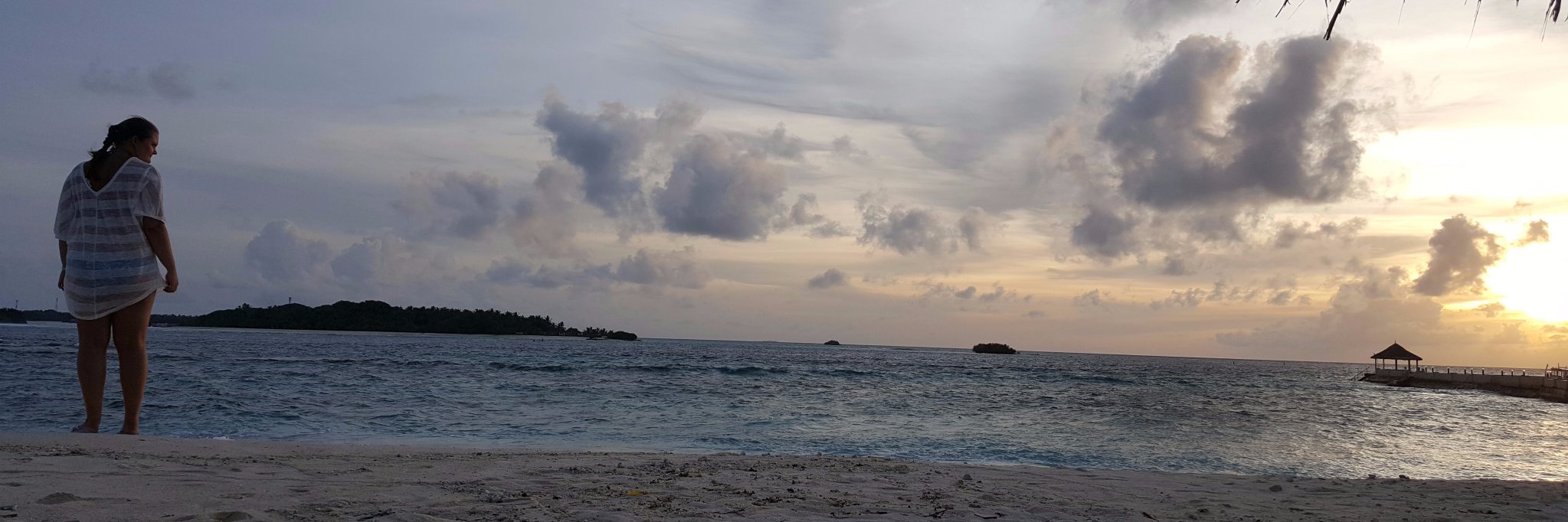 a different gravy banner