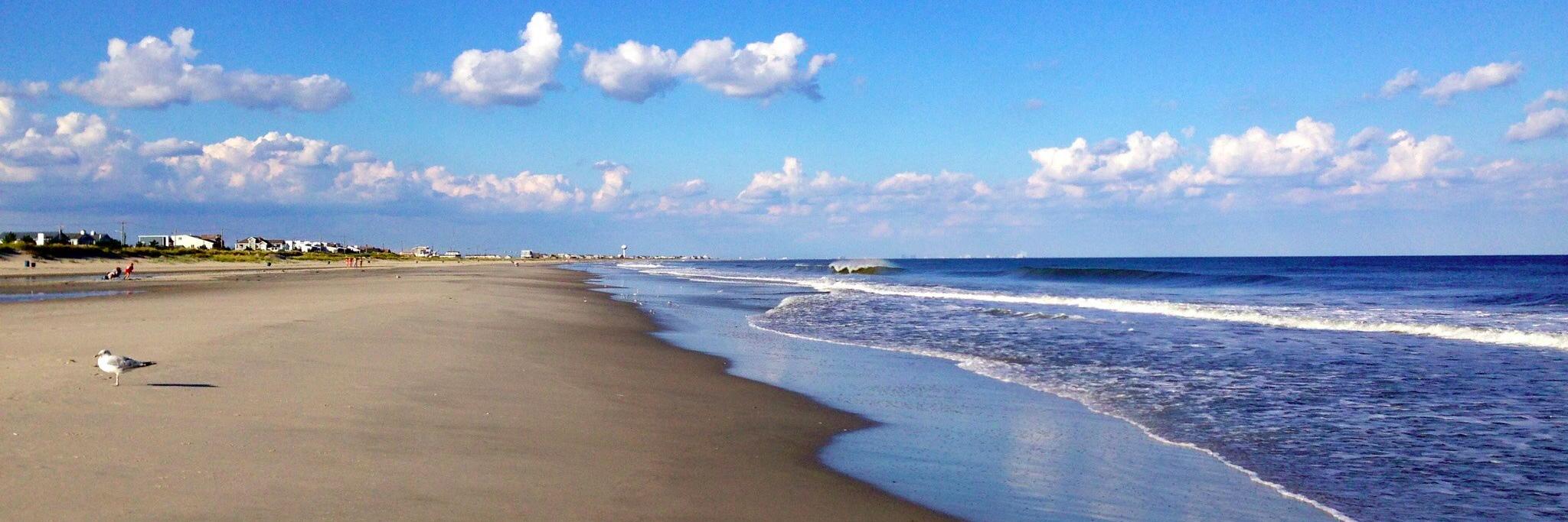 Michael Robinson III banner