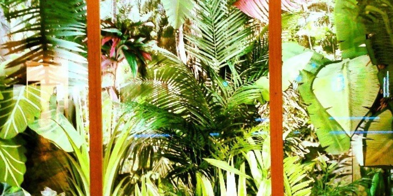 lulangaaa's profile banner image