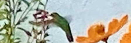 laudefran's profile banner image