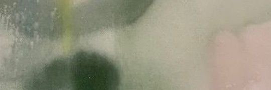 florbleme's profile banner image