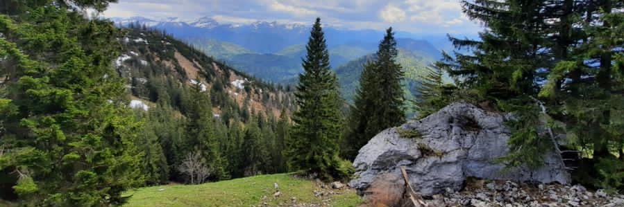 lenildaestrela's profile banner image