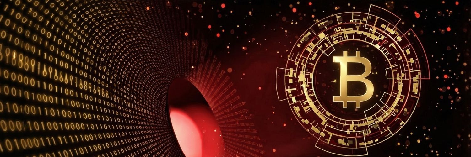 Sashanizm banner