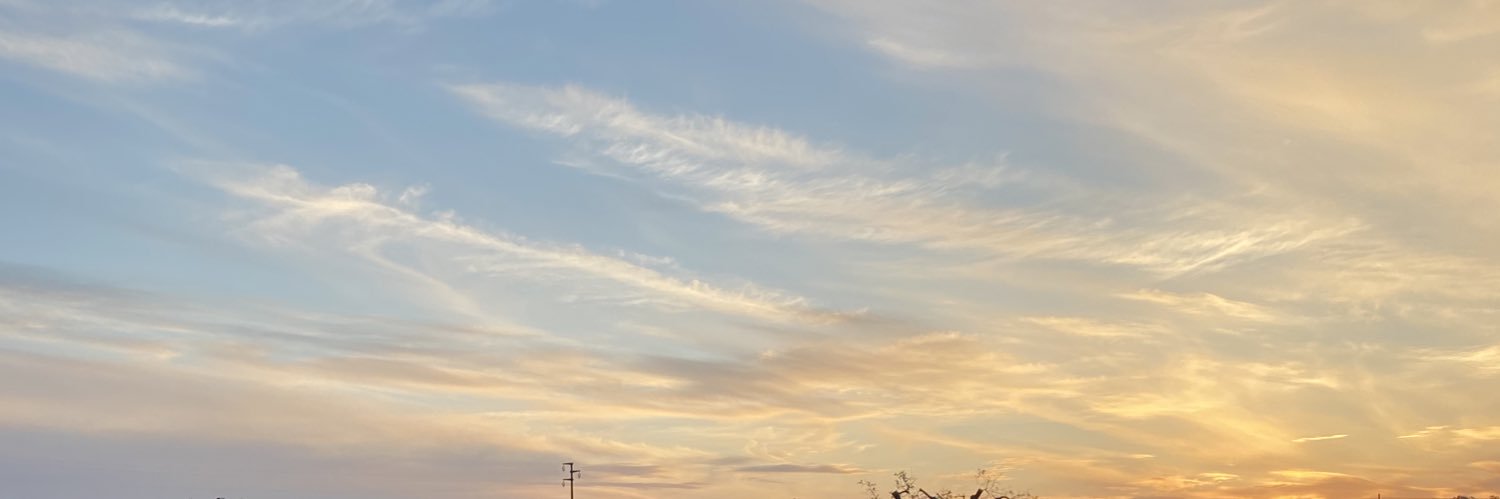 GMelacca's profile banner image