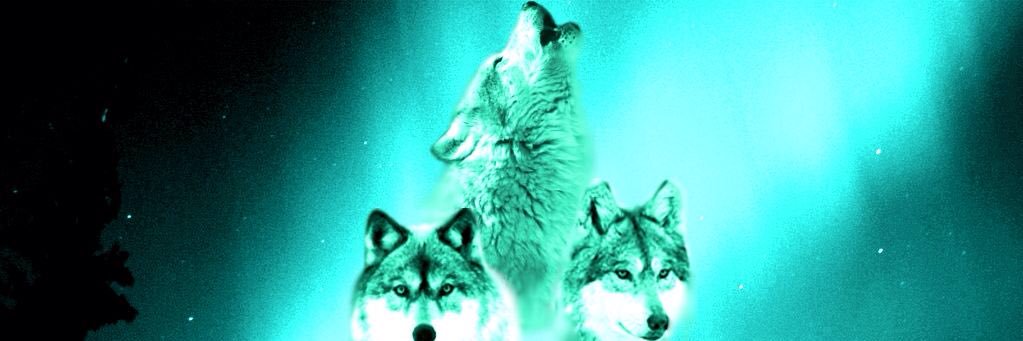 Martyncook5's profile banner image