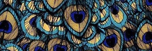 janaina_p's profile banner image