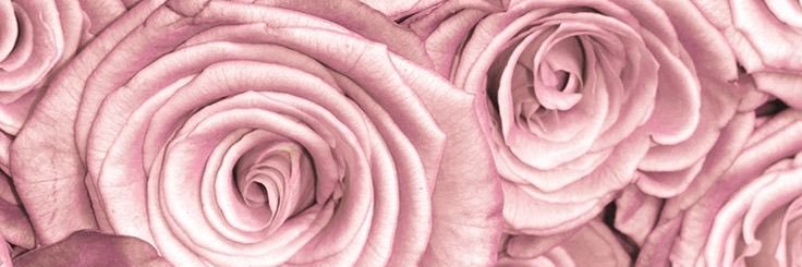 louubz's profile banner image