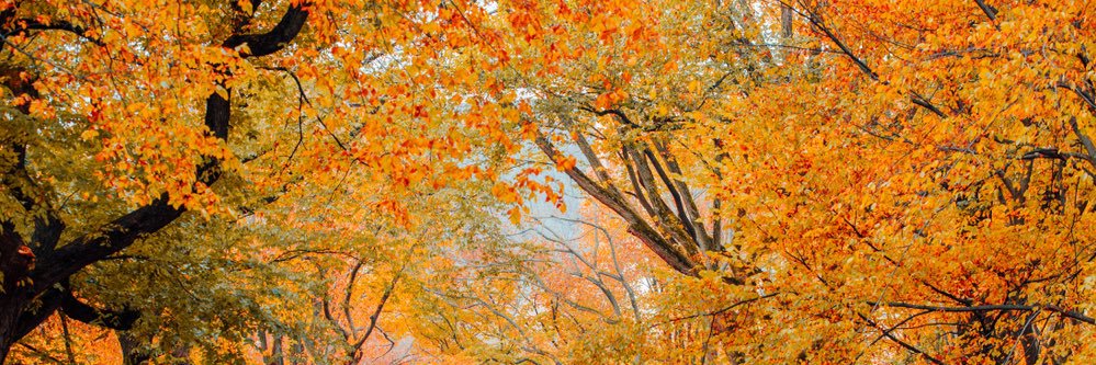 ChristianC_NYC's profile banner image