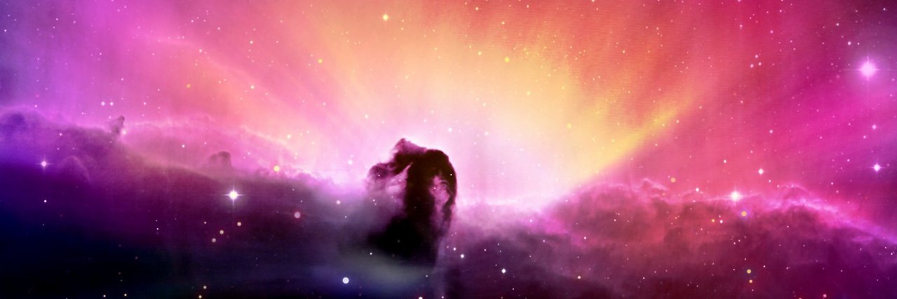 tiigertea's profile banner image