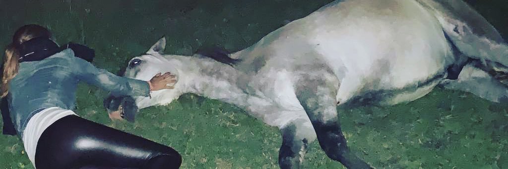 Sandra Ibarra banner