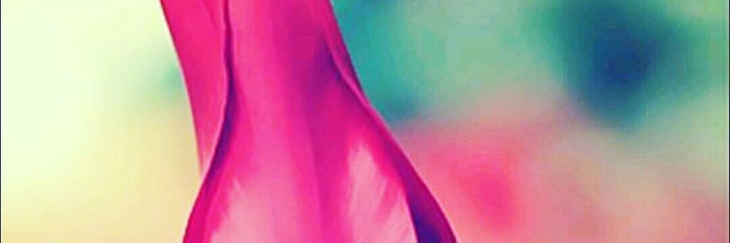 NouraAli6's profile banner image