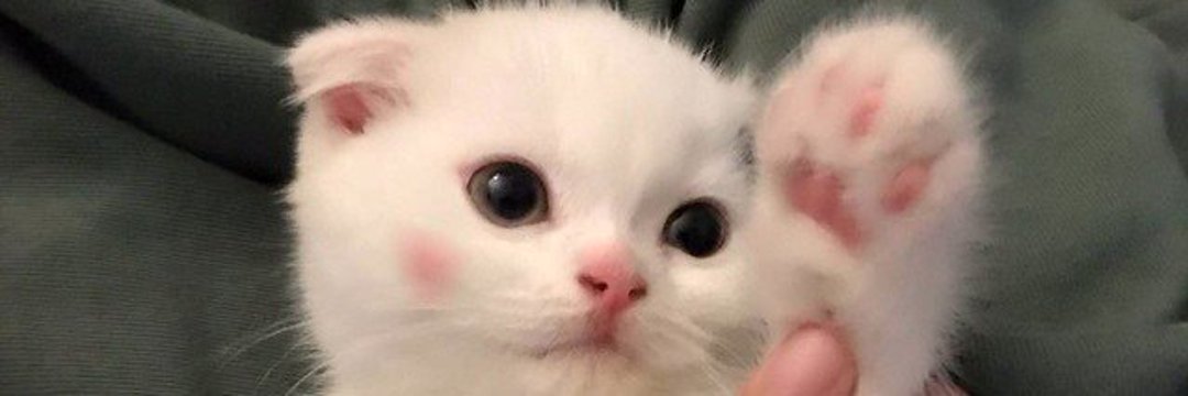dangel_93's profile banner image