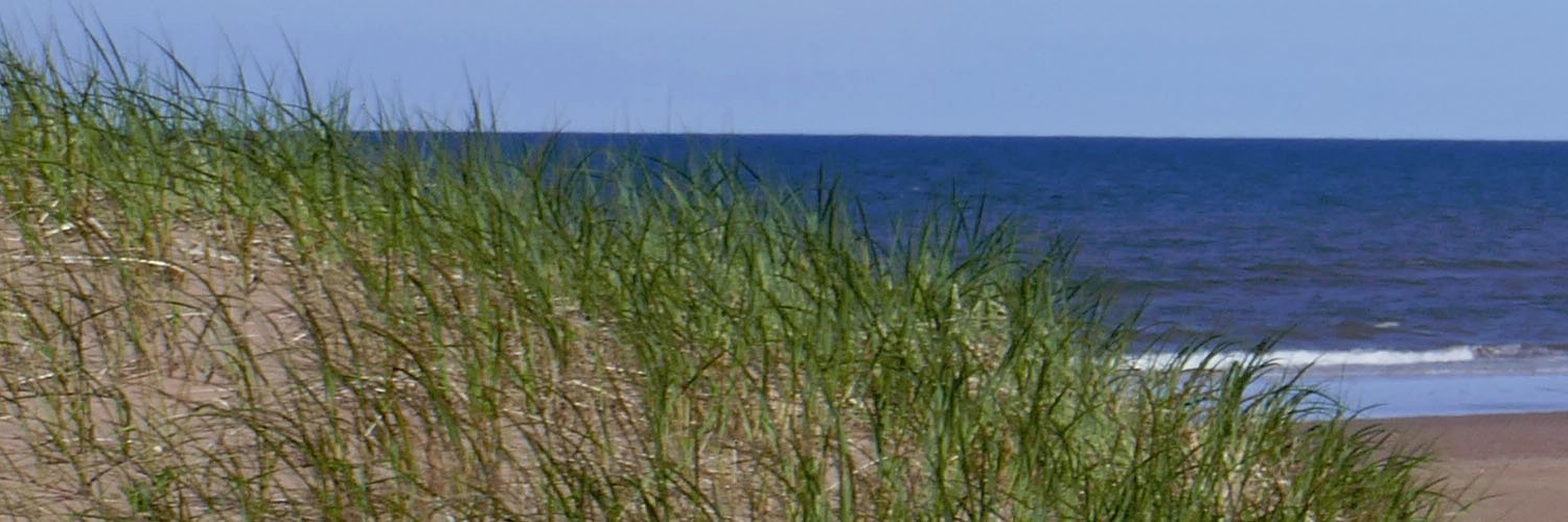 cottind's profile banner image