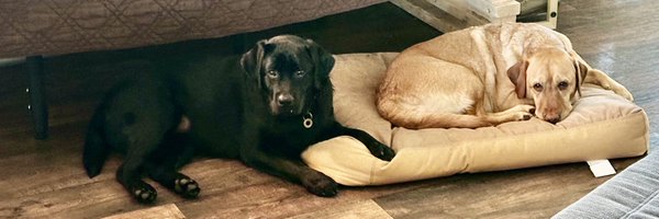 reutebh Profile Banner