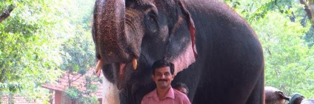 mtcherian's profile banner image