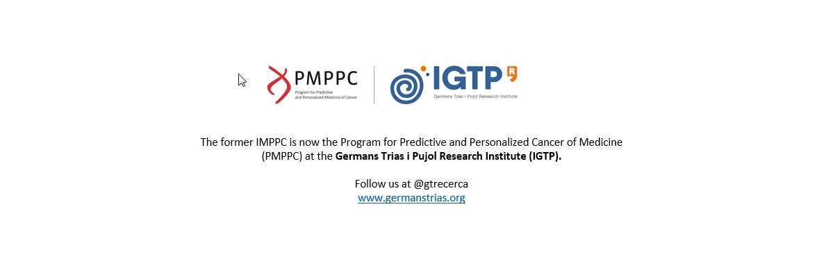 IMPPC's profile banner image
