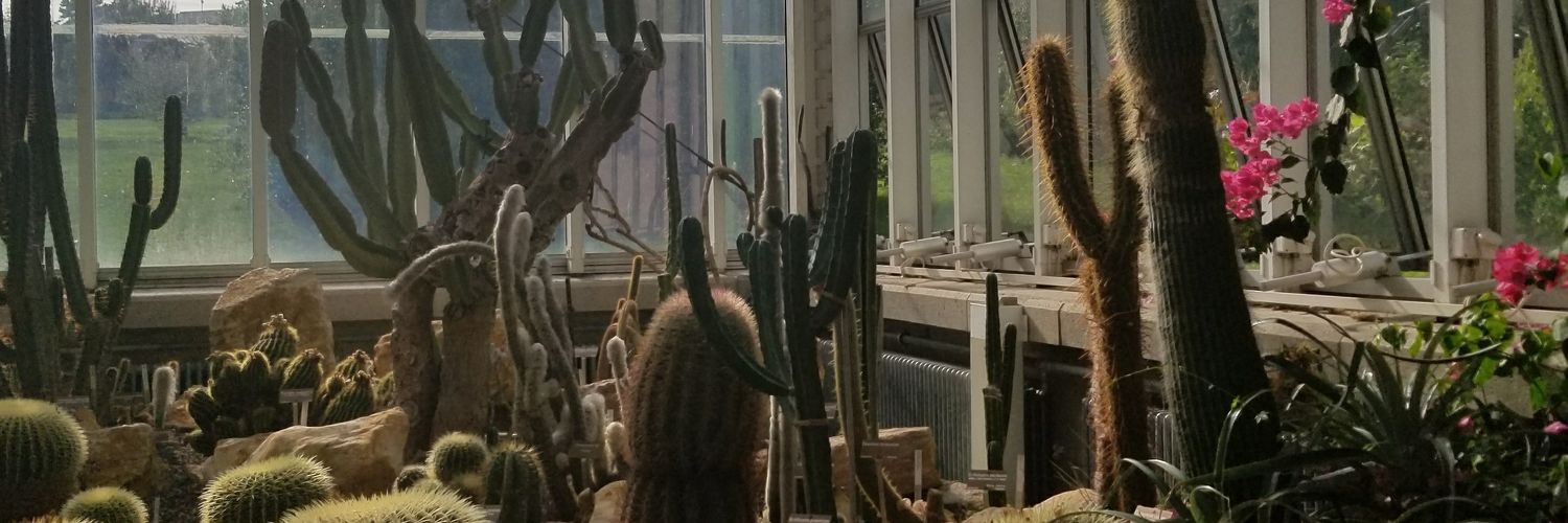 sallgrenade's profile banner image