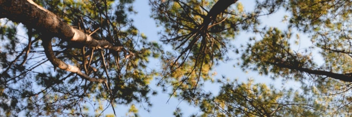 PiyatepR's profile banner image