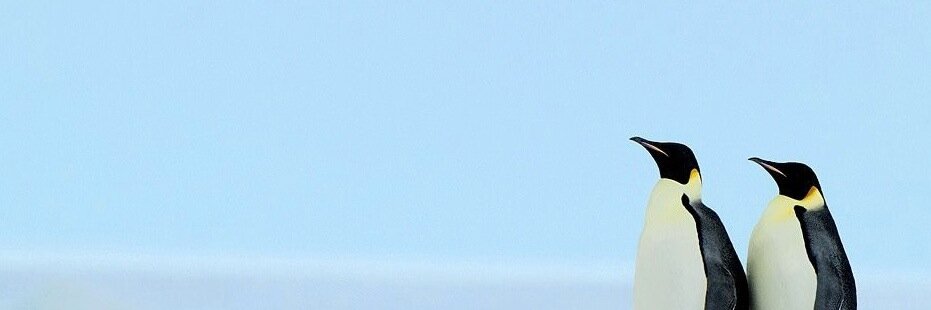 ＼ ⓙⓐⓒⓚ ／ banner