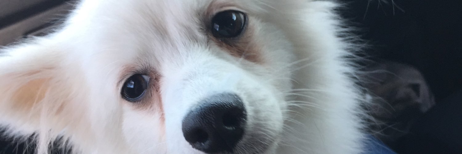 KosukeOp's profile banner image
