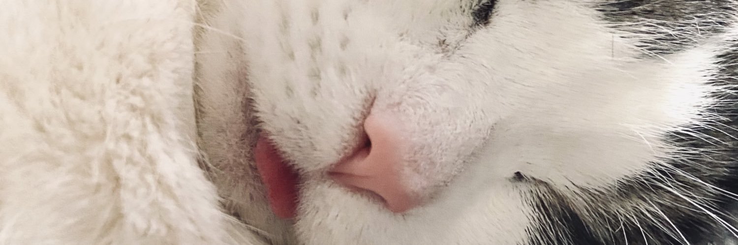 Persistent Woman banner