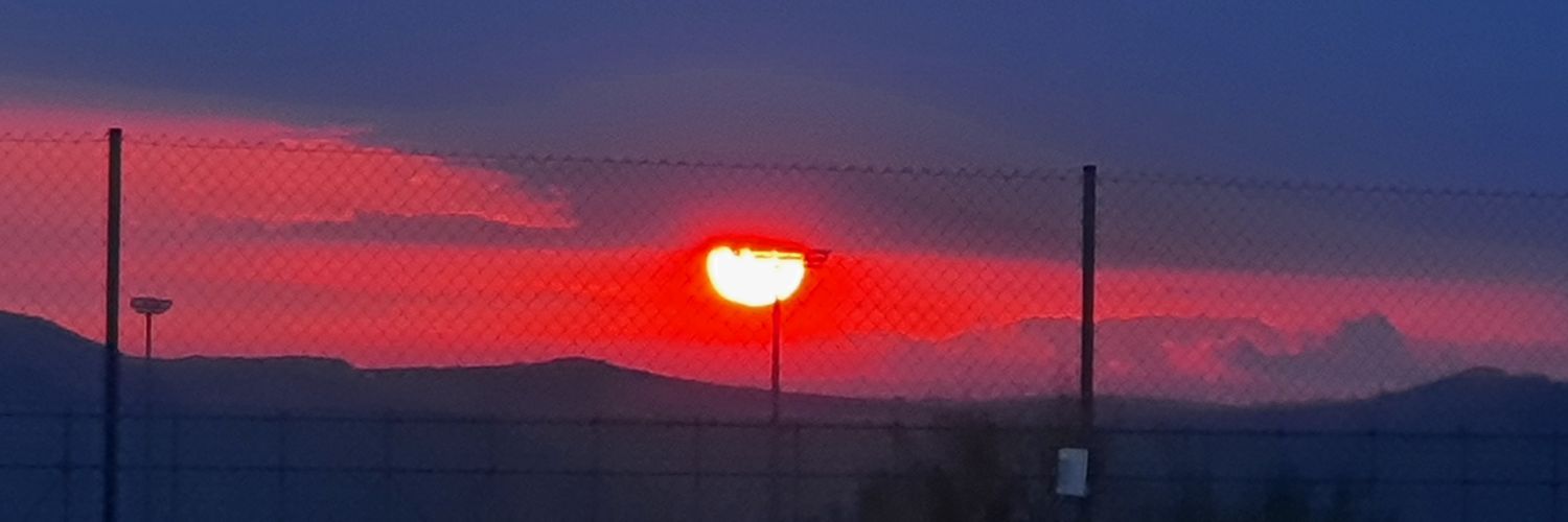 Patricia Obeso banner