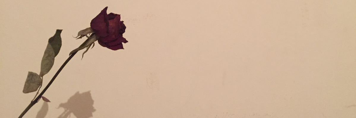 eceunall's profile banner image
