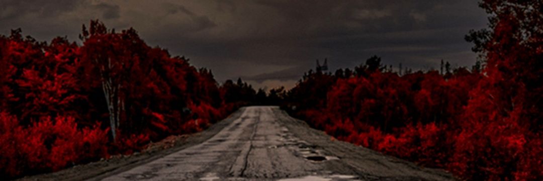 kyaramapley's profile banner image