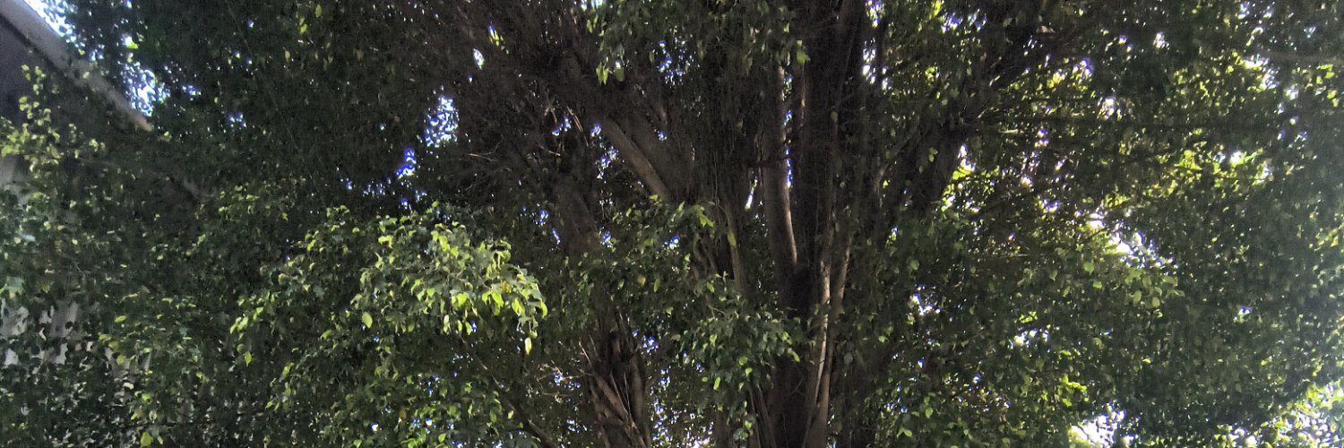 diee_uk's profile banner image