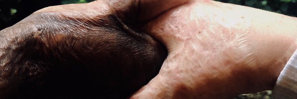 ScarGlobal_ Profile Banner