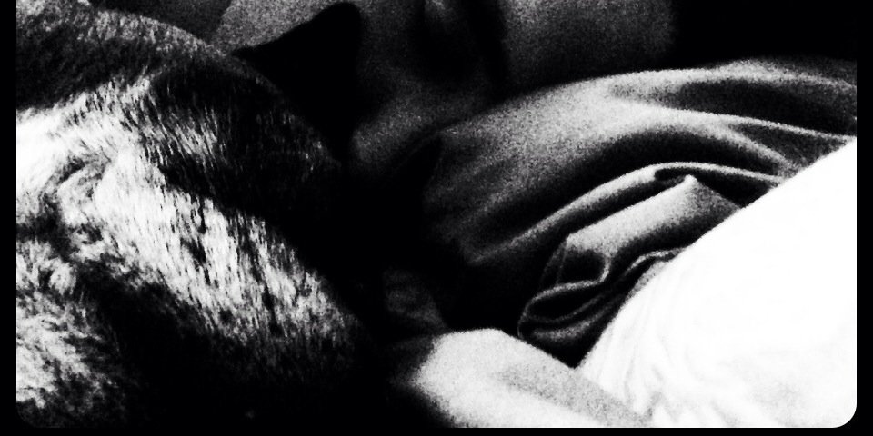 harry_milton's profile banner image