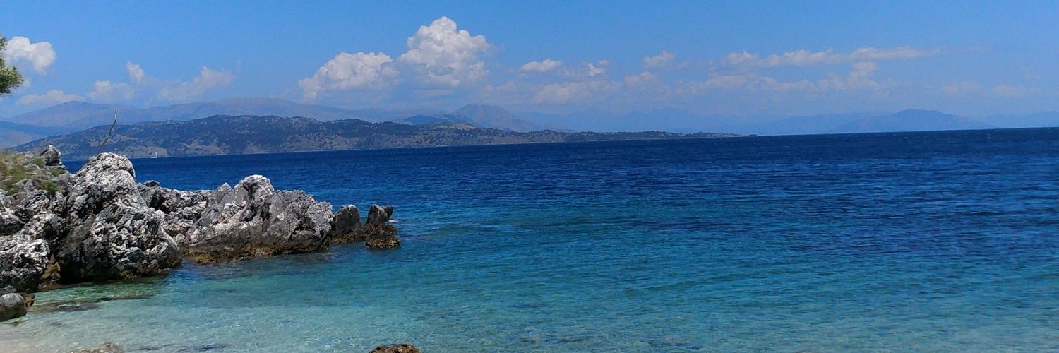 O Gatoacuadros banner