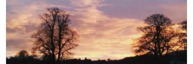 NicoleNagle's profile banner image