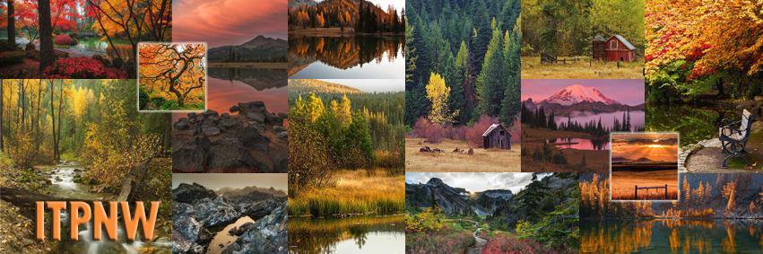 In The Pacific Northwest™ banner