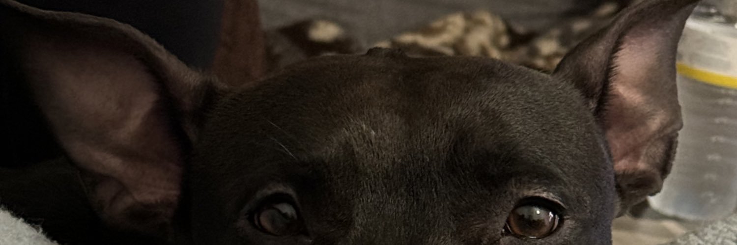 petooner's profile banner image