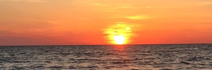 CaseCart8's profile banner image