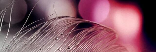 chuksleila's profile banner image