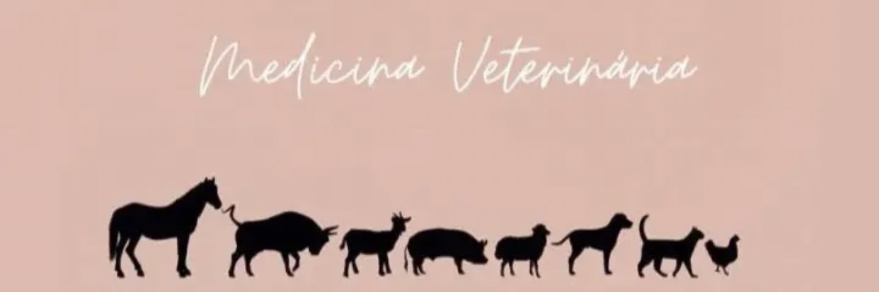 SperandioGF's profile banner image