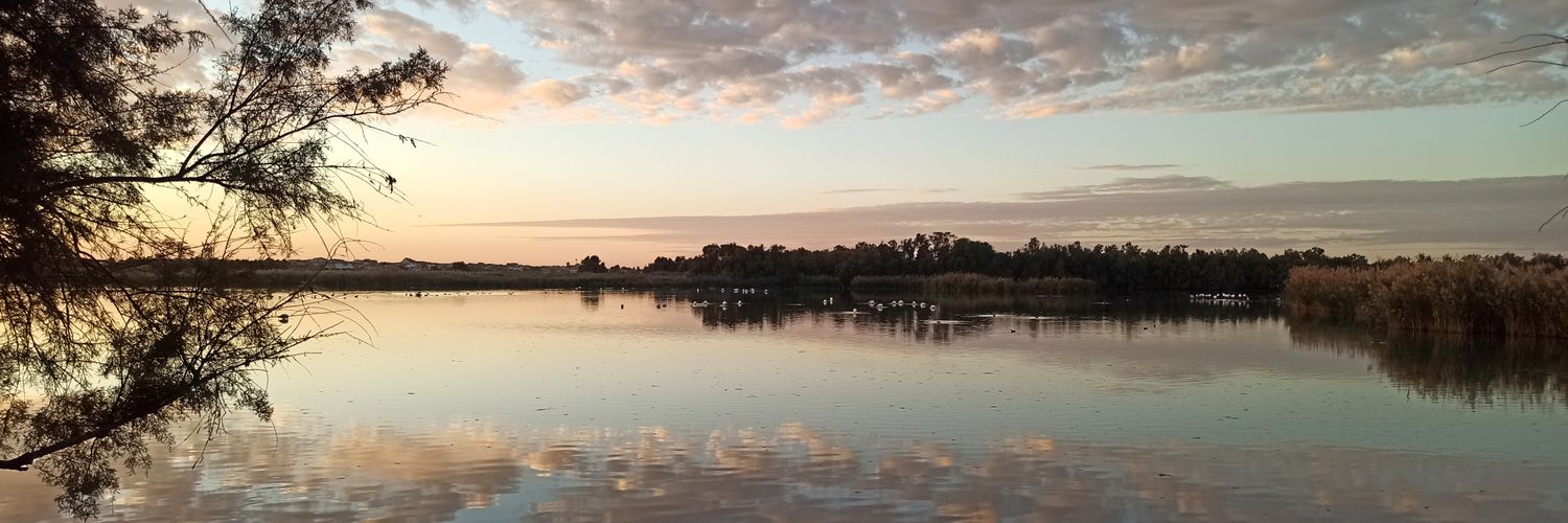 María Lara ✖ banner