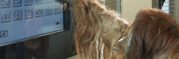 RobShumaker Profile Banner