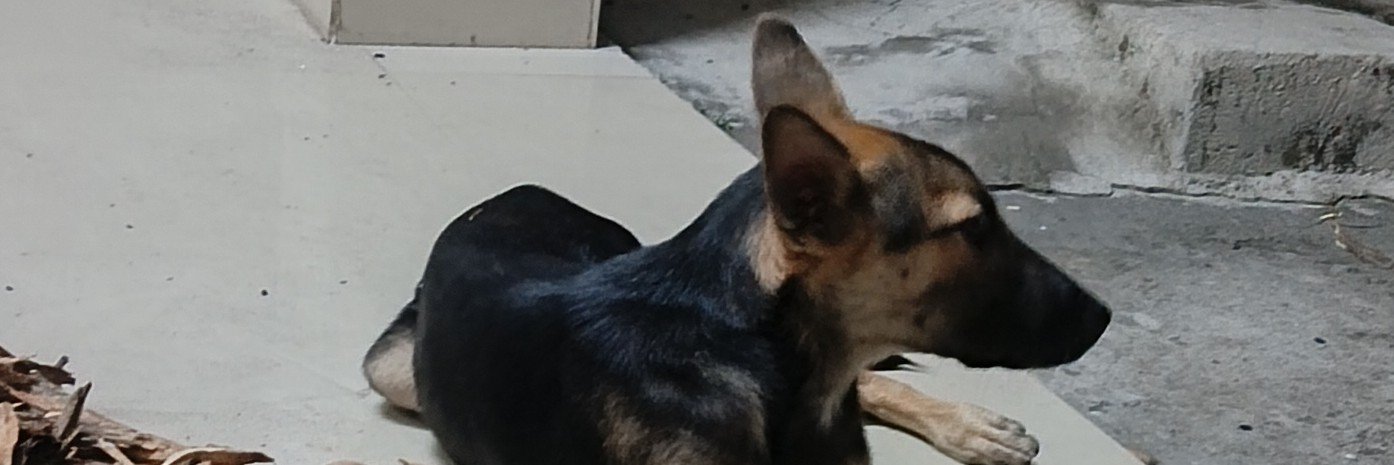 raman1315's profile banner image