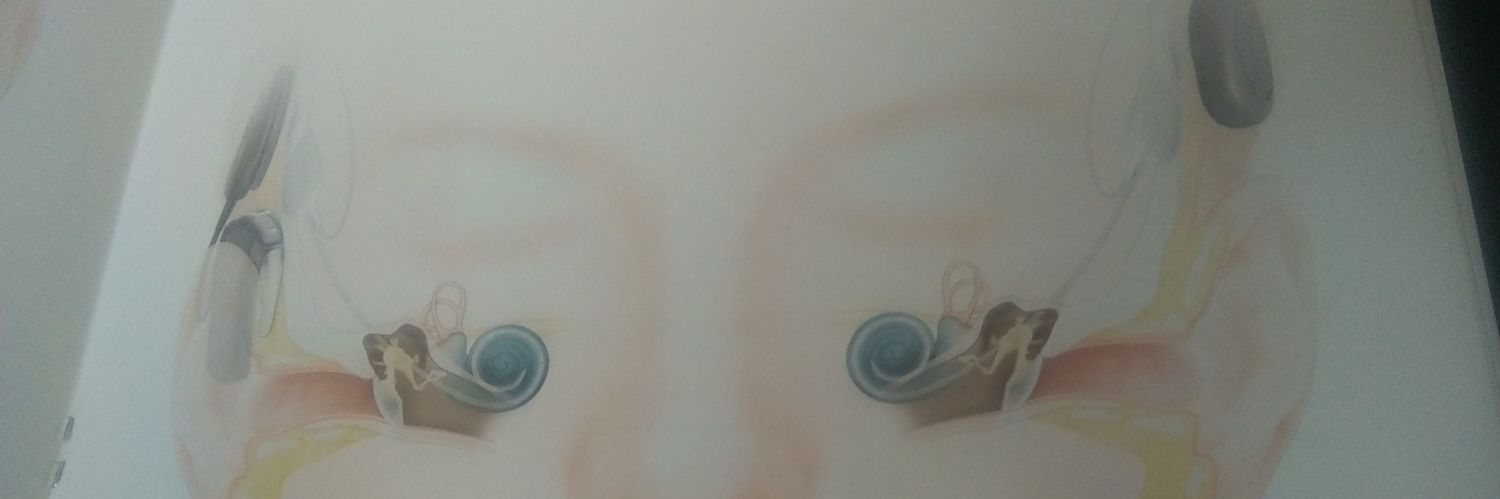 Jaafaruasha's profile banner image