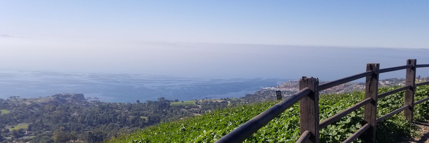 Jennifer Azula banner