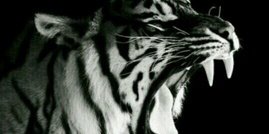 andreeikaaa's profile banner image