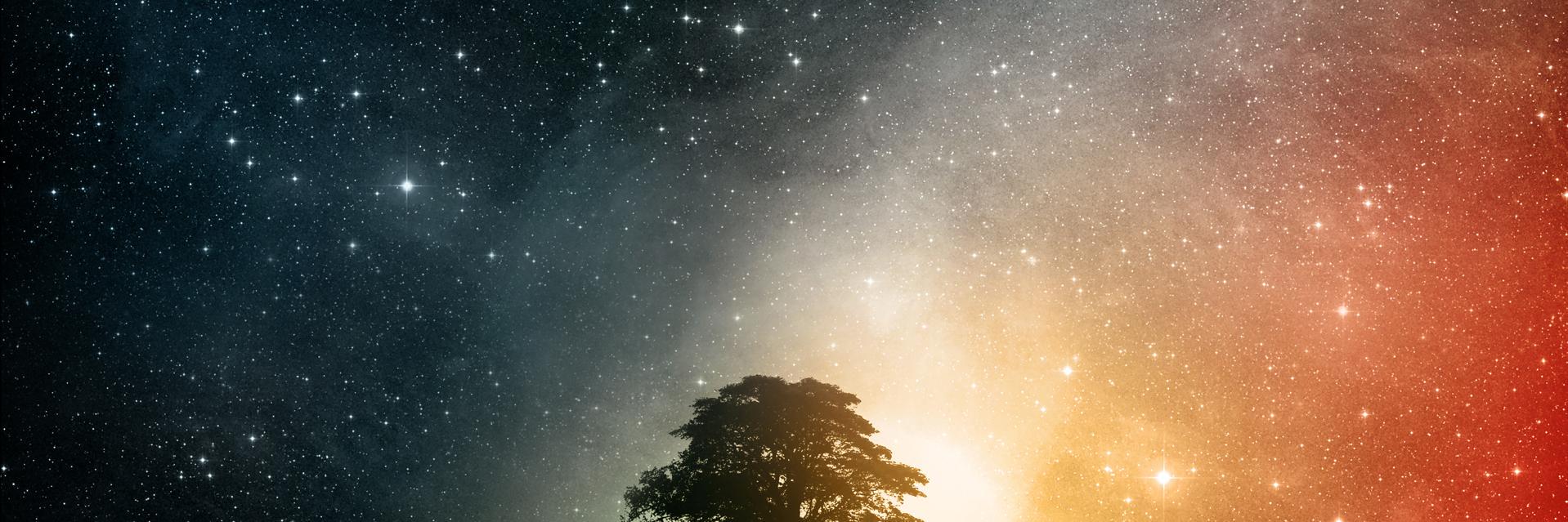 Илья Веселов banner