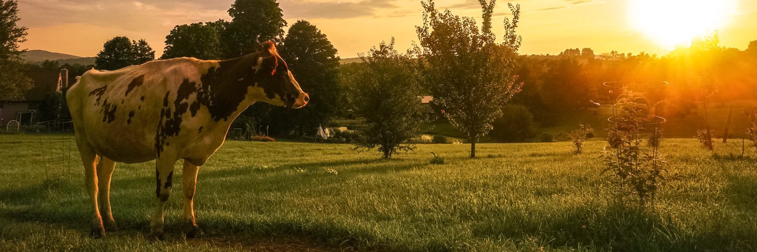 bnolan_27's profile banner image