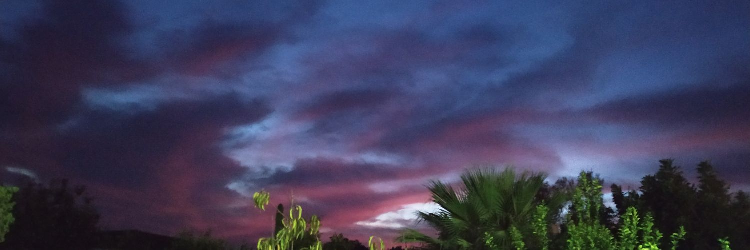 Conchi_rr's profile banner image