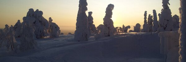 voorjongeren Profile Banner