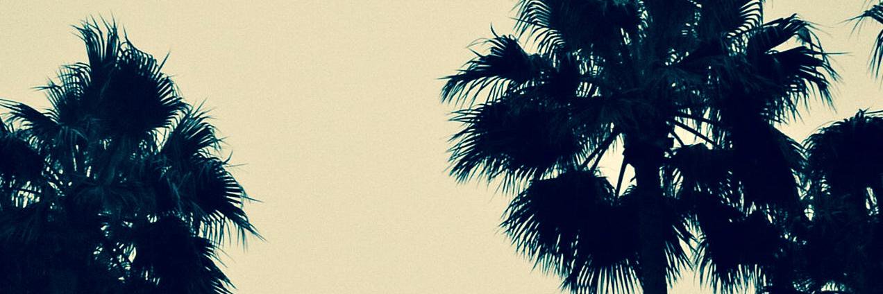 d_hends's profile banner image